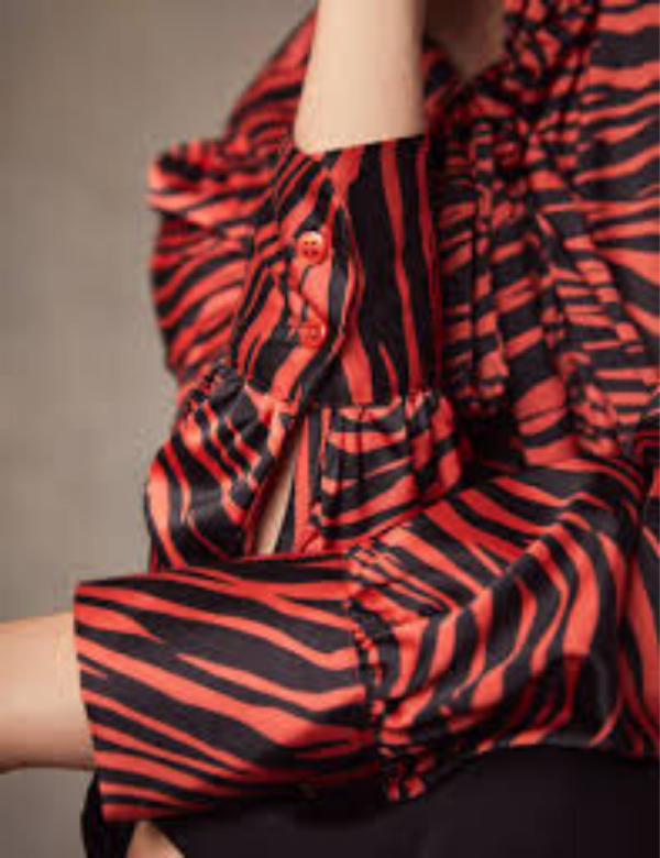 Hawes and Curtis Women Paprika Satin Blouse
