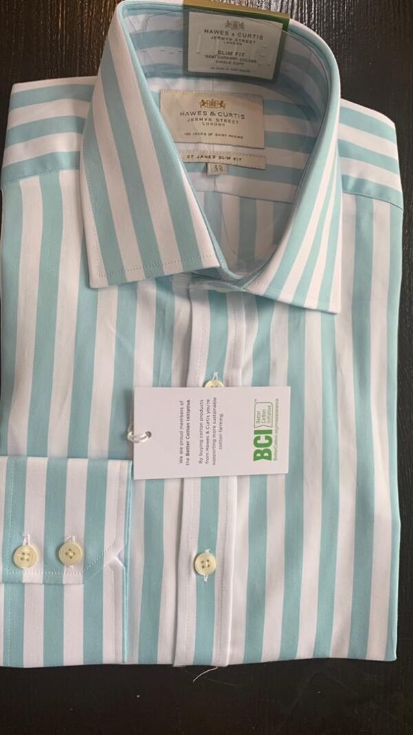 Hawes and Curtis Men Slim Bold Stripe Shirt