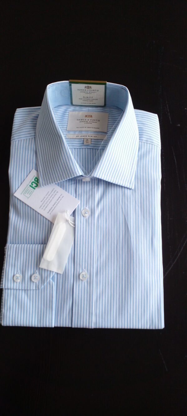 Hawes & Curtis Men Sc blue & white stripe Shirt