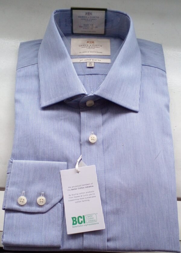 Hawes and Curtis Men's St James Sc03 Stripe Shirt