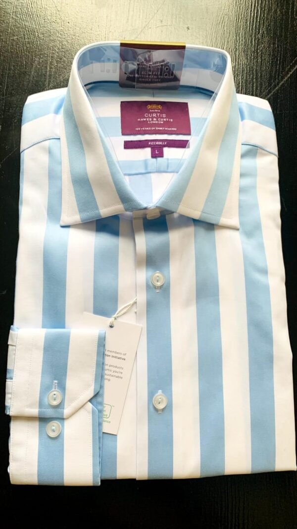 Hawes and Curtis Men Piccadilly Blue & White Sc shirt