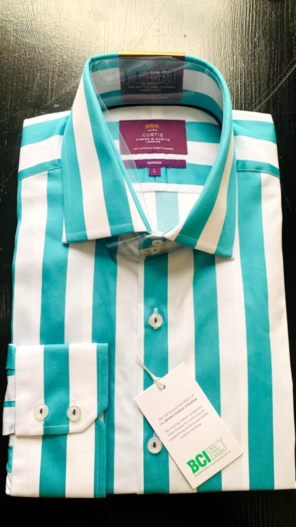 Hawes & Curtis Men Brandon Teal & White York shirt